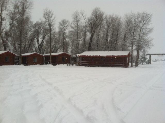 Teton Valley Cabins Driggs Kültér fotó
